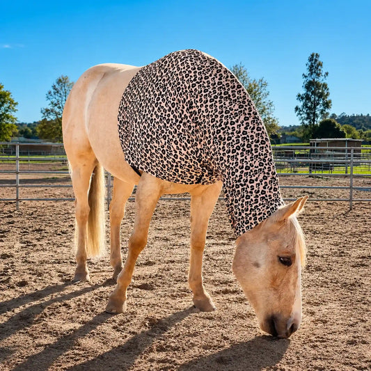 Horse wearing a leopard print faceless hood sleazy in an outdoor setting with trees and clear sky.