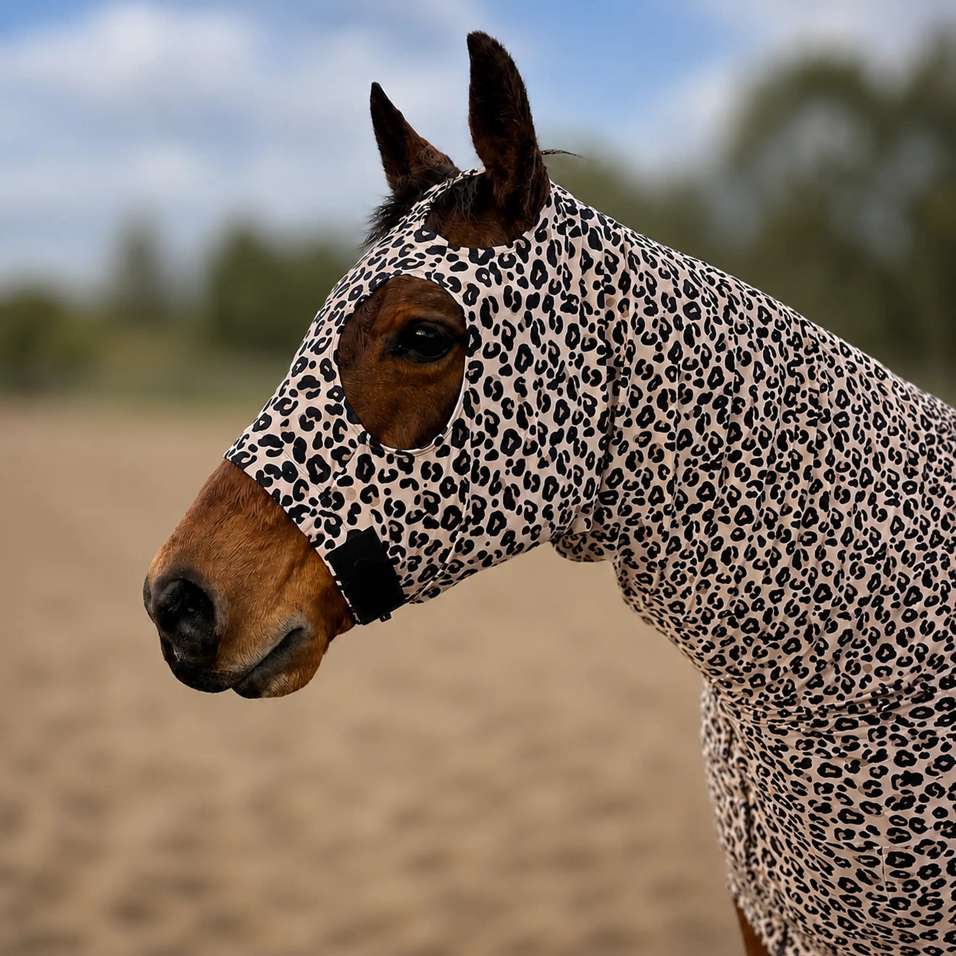 Leopard full body sleazy face showing fitment 