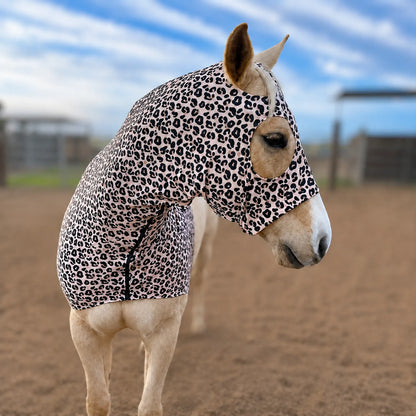 A horse wearing a fitted leopard-print horse sleazy hood, front view, photographed outdoors in a sandy arena with a blurred blue sky background.