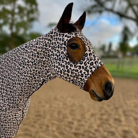 A close-up of a horse wearing a leopard-print sleazy hood in an outdoor arena with sand and trees in the background.