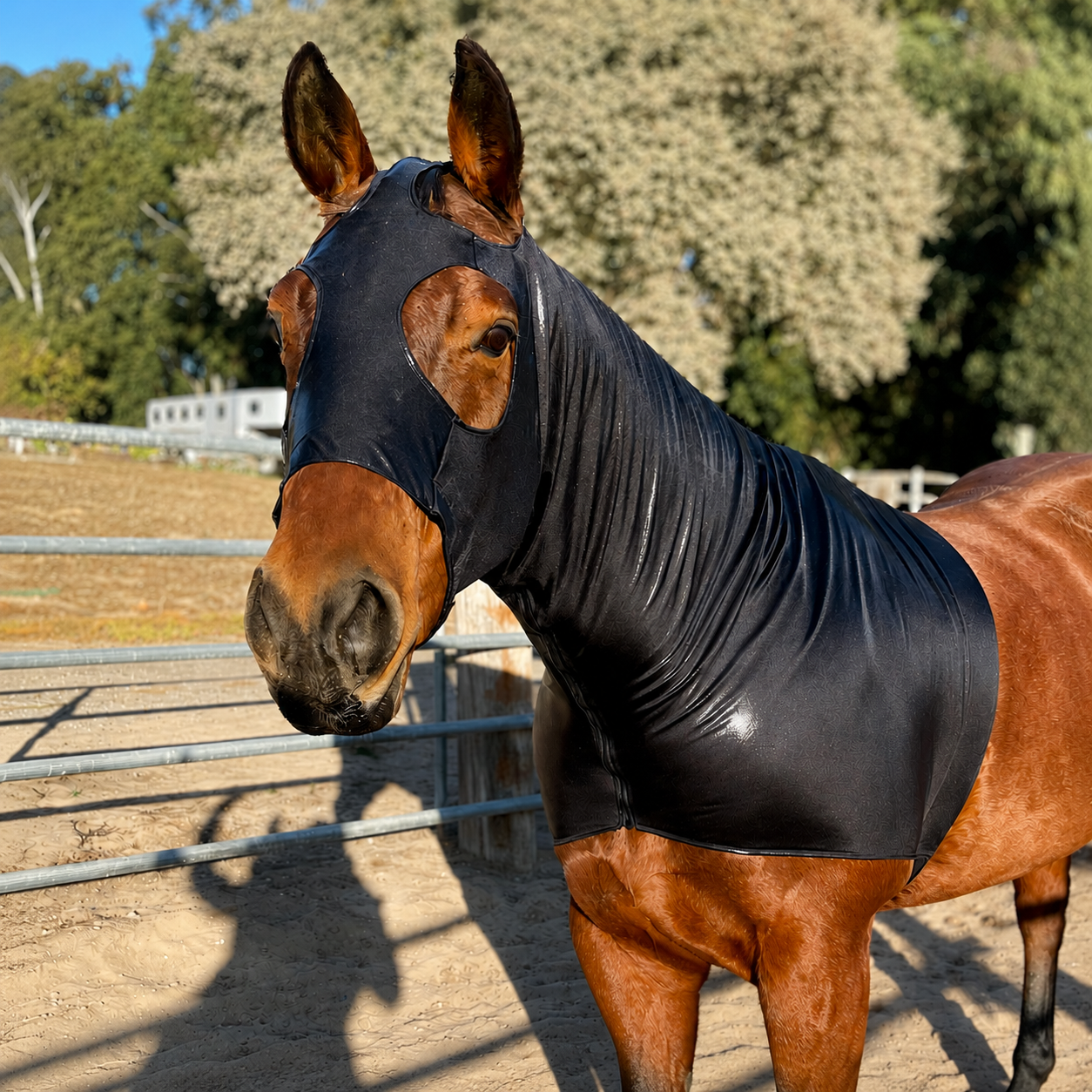 Metallic Black Hood by Slickhorseware.com