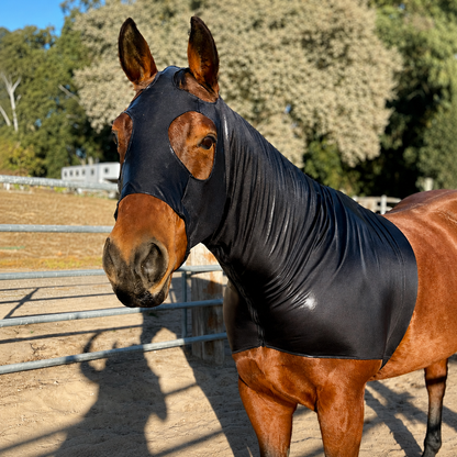Metallic Black Hood by Slickhorseware.com