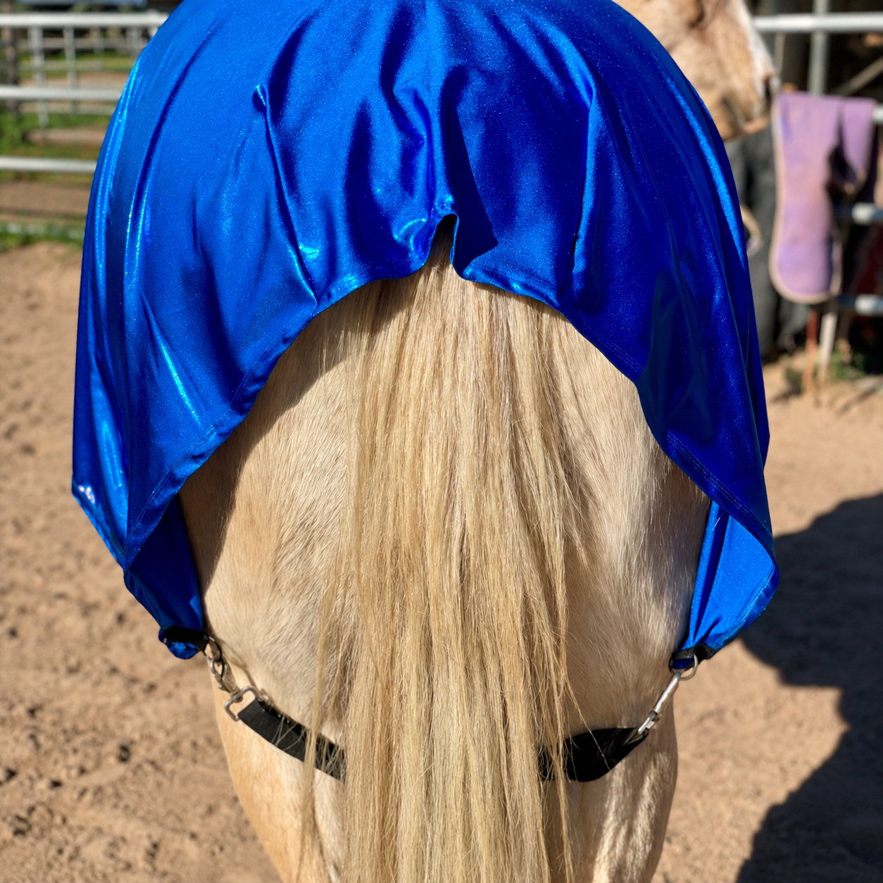 Metallic Royal Blue Faceless Full Body Sleazy