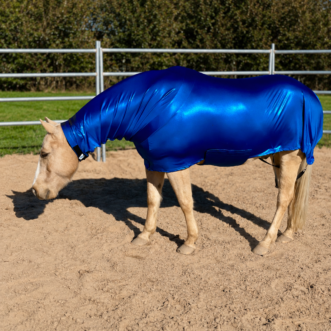 Metallic Royal Blue Faceless Full Body Sleazy