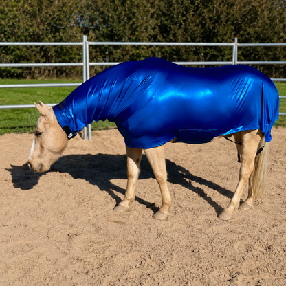 Metallic Royal Blue Faceless Full Body Sleazy