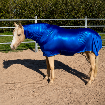 Metallic Royal Blue Faceless Full Body Sleazy