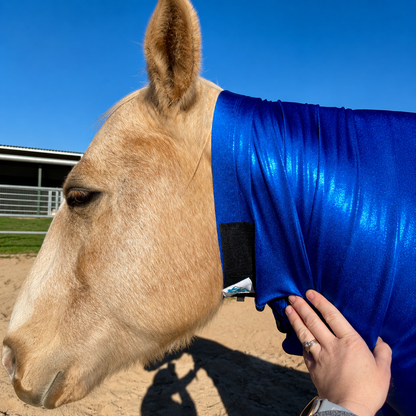 Metallic Royal Blue Faceless Full Body Sleazy