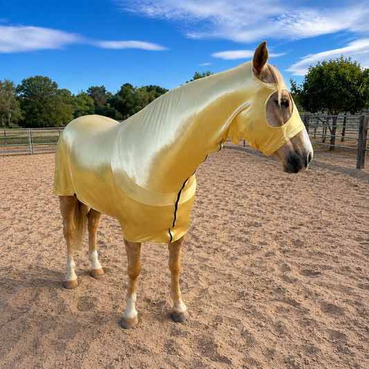 Metallic Gold Full Body Sleazy
