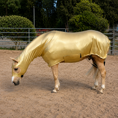 Metallic Gold Full Body Sleazy