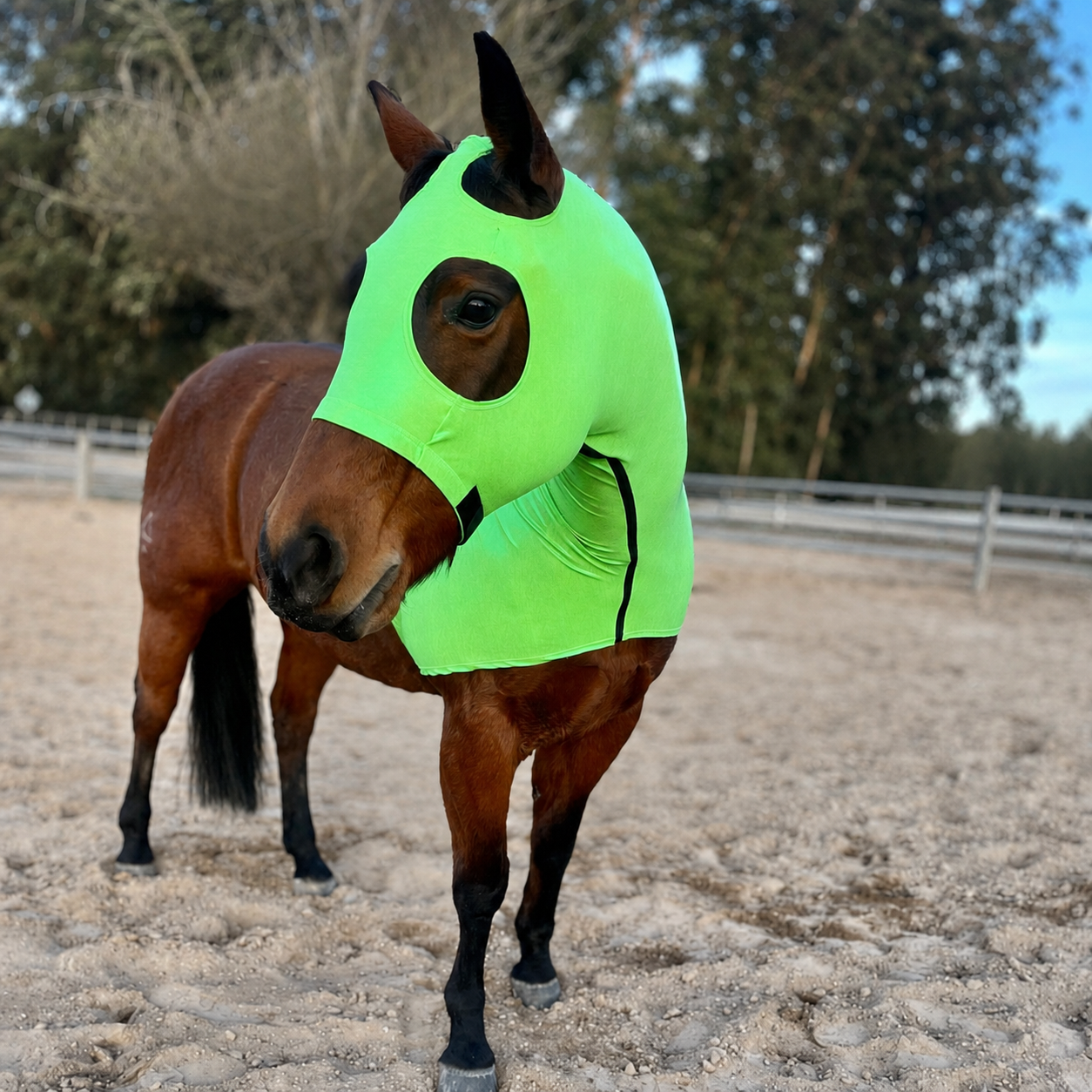 Metallic Green Hood by Slickhorseware.com