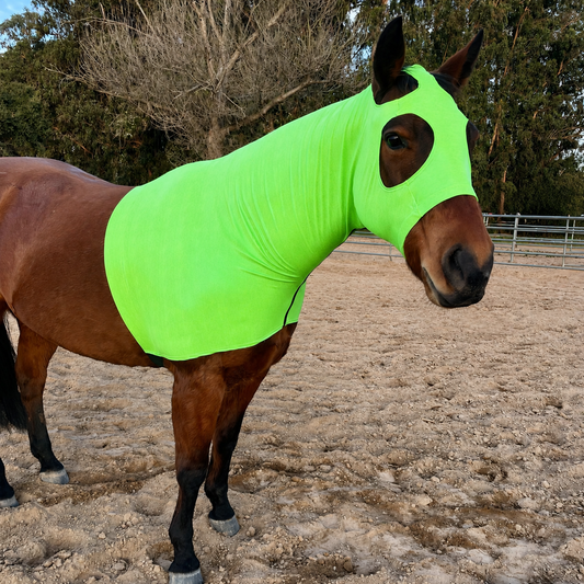 Metallic Lime Green Hood Sleazy