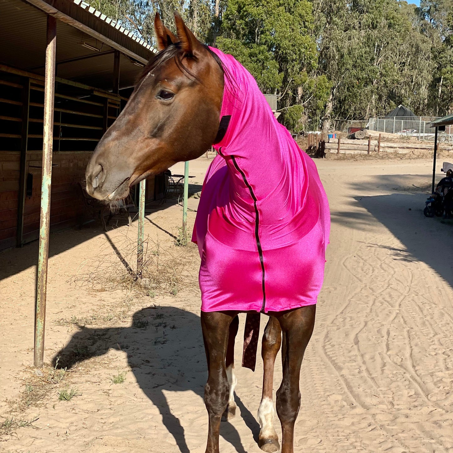 Metallic Hot Pink Faceless Full Body Sleazy