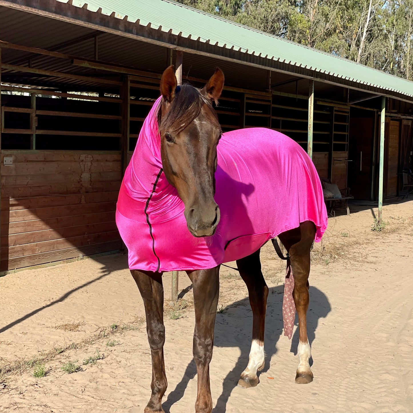Metallic Hot Pink Faceless Full Body Sleazy