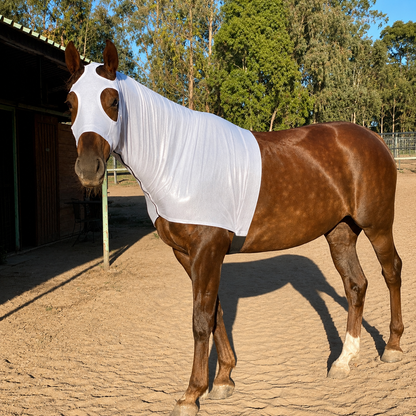 Metallic Silver Hood by slickhorseware.com