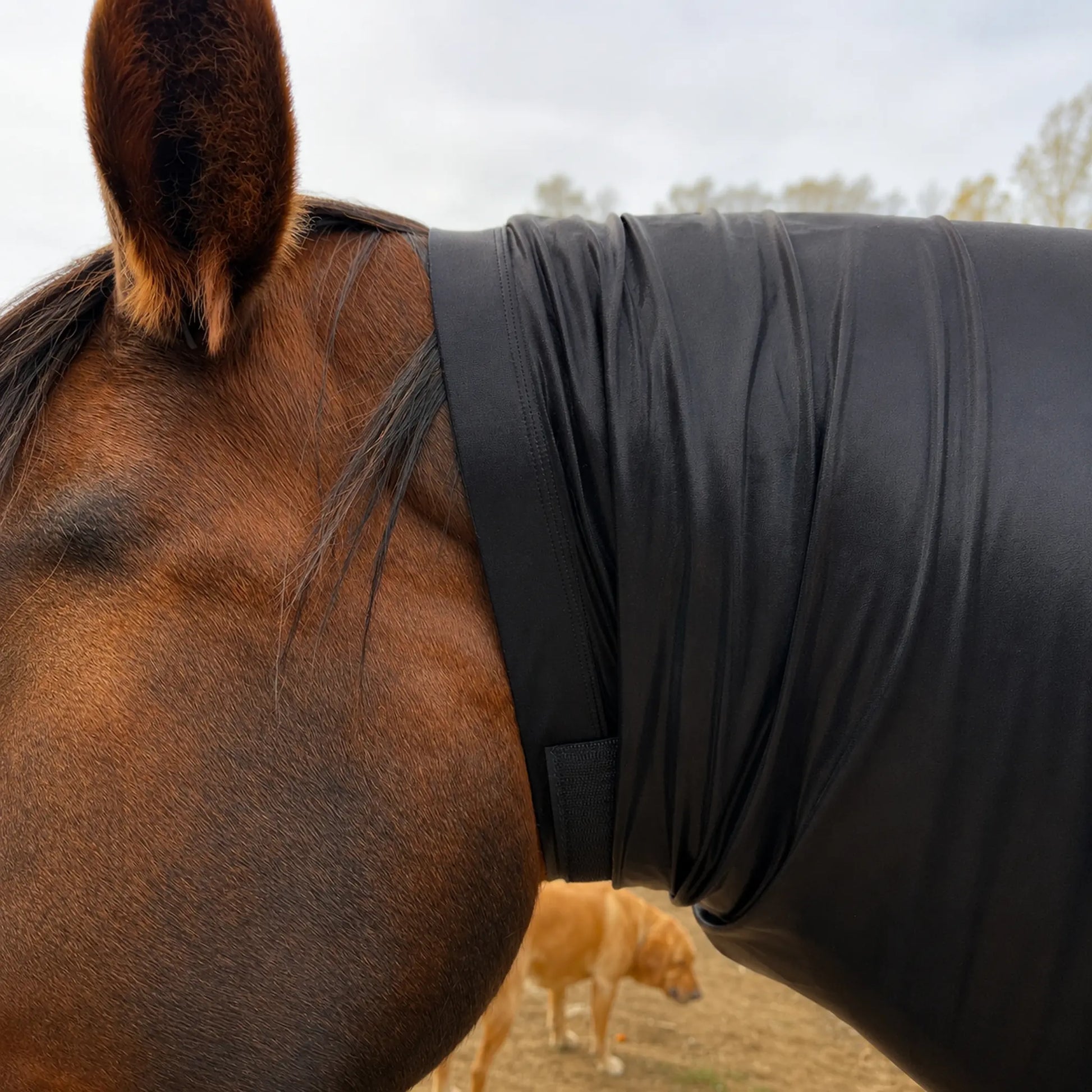 metallic black faceless full body sleazy horse neck view 