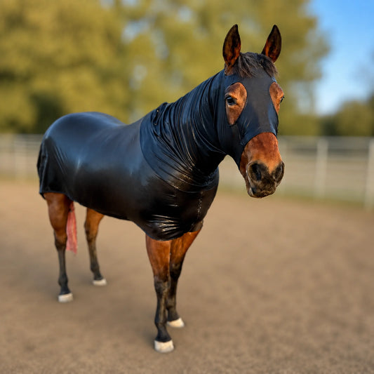 A horse standing in an outdoor paddock wearing a shiny metallic black full body sleazy.