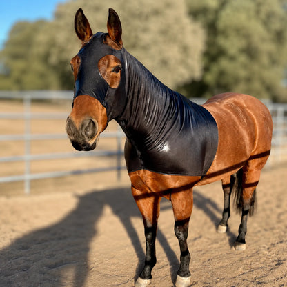 A brown horse standing in a sandy outdoor arena wearing a shiny metallic black sleazy hood horse cover, with blurred trees and fencing in the background.