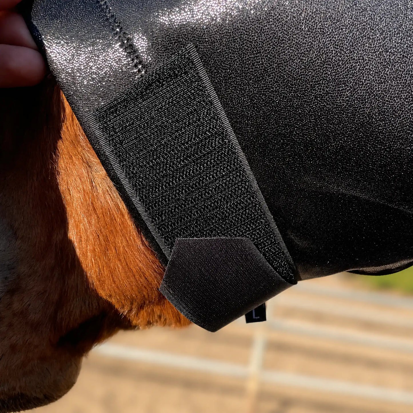 Close-up of a horse wearing a shiny metallic black sleazy hood showing the textured fabric and hook-and-loop strap attachment against the horse's brown fur.