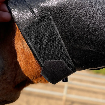 Close-up of a horse wearing a shiny metallic black sleazy hood showing the textured fabric and hook-and-loop strap attachment against the horse's brown fur.