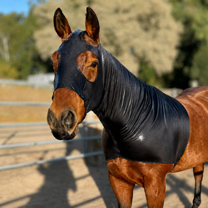 A brown horse standing in an outdoor arena wearing a shiny metallic black sleazy hood.