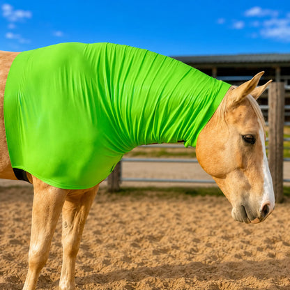 Horse wearing a metallic green faceless sleazy hood in an outdoor setting with a clear sky.