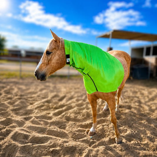 A light brown horse standing in a sandy outdoor arena wearing a bright metallic  green faceless sleazy hood, under a blue sky with clouds.