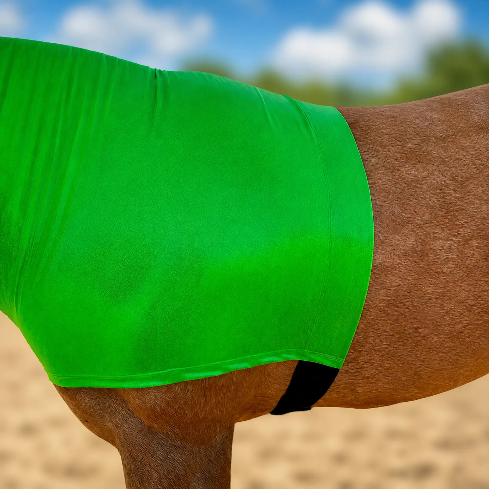 A close-up of a horse's side showing a bright metallic green stretch sleazy hood with a black waist strap, set against a blurred outdoor background of sand and blue sky.