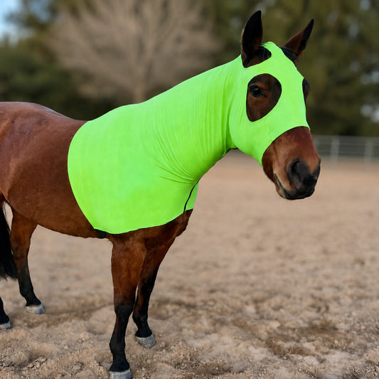 A brown horse standing in a sandy outdoor arena wearing a bright metallic green horse sleazy hood that covers its neck and head.