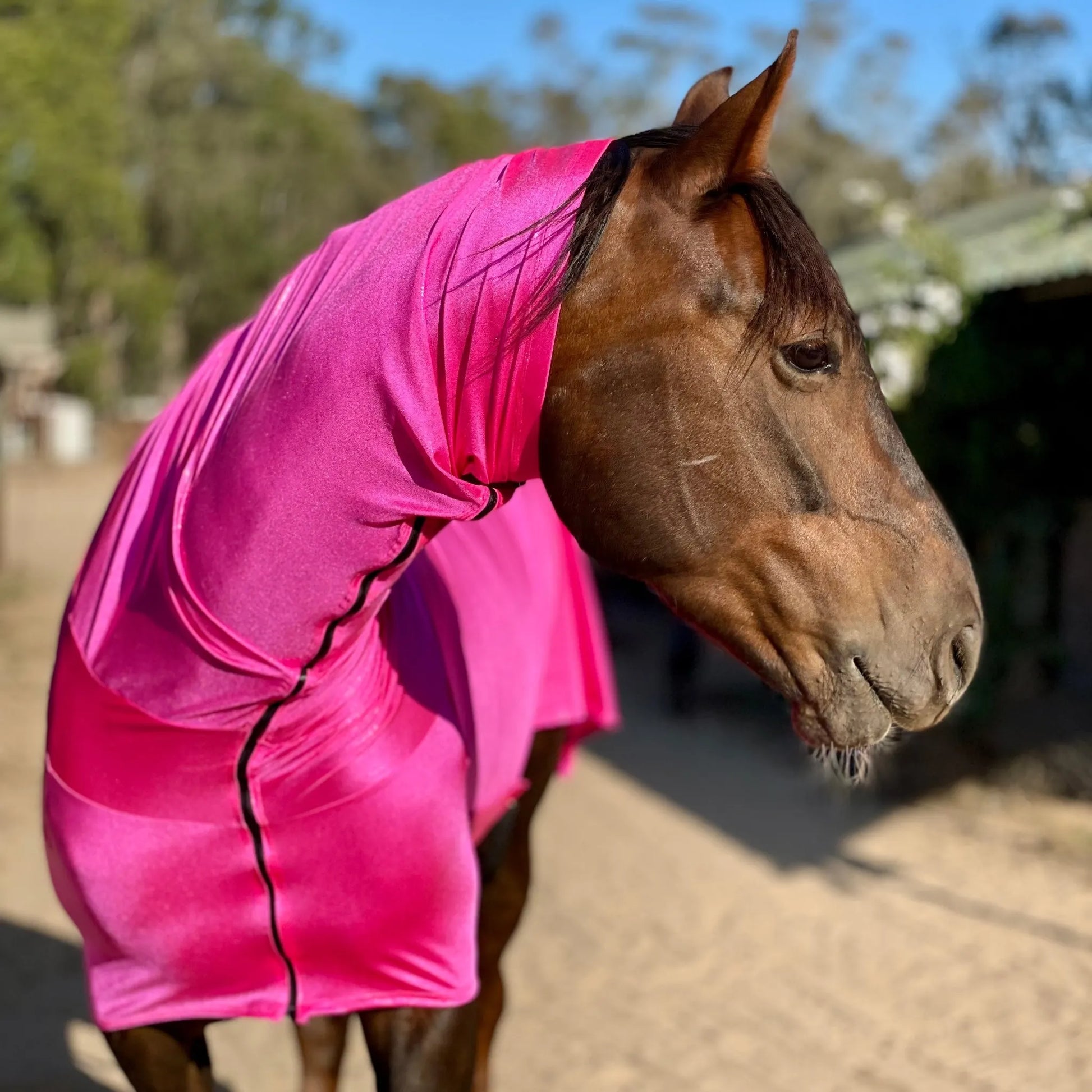 metallic hot pink faceless full body sleazy horse front view showing neck and chest fitment on horse