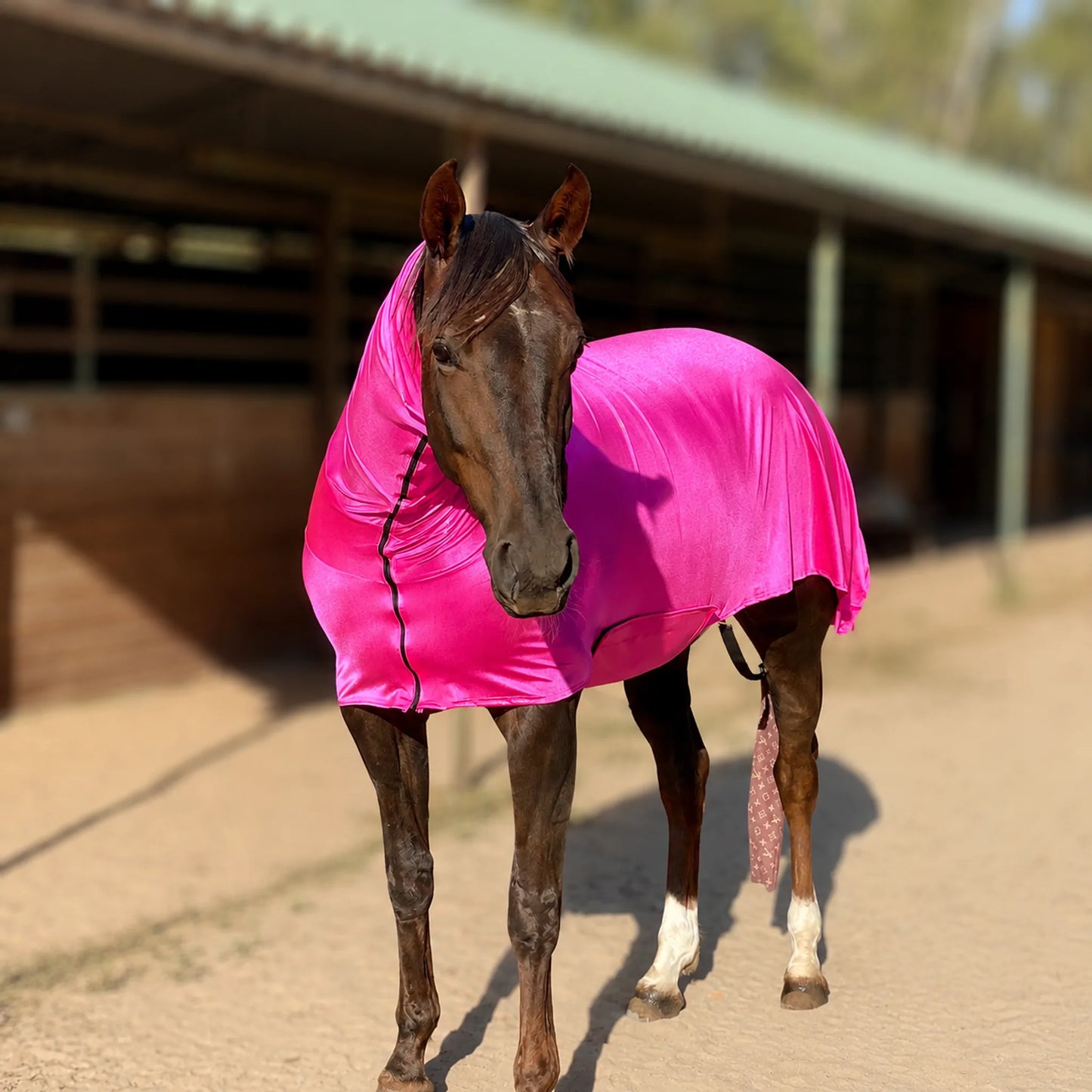 metallic hot pink faceless full body sleazy horse front view with barn in background