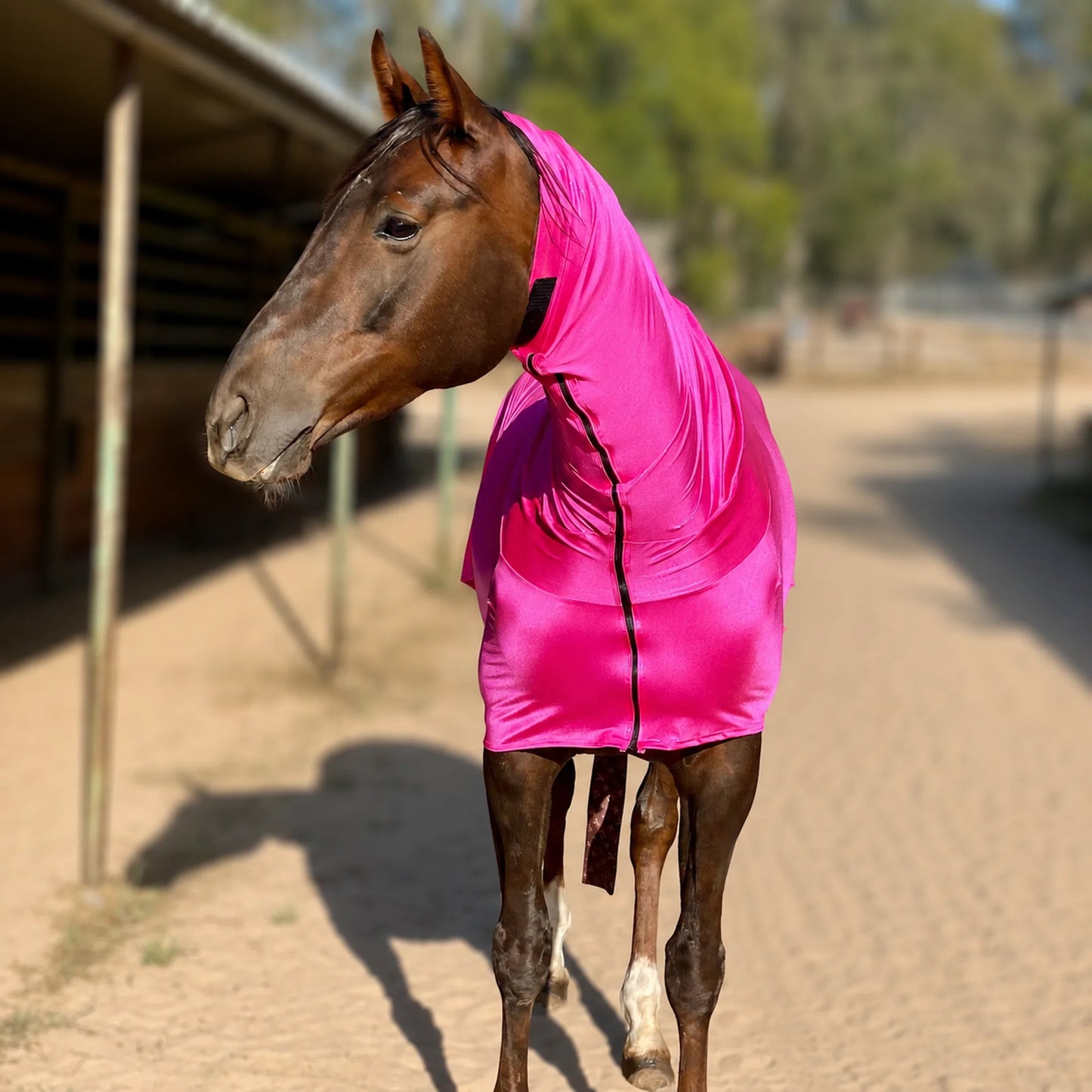 metallic hot pink faceless full body sleazy horse front view showing neck and chest of horse