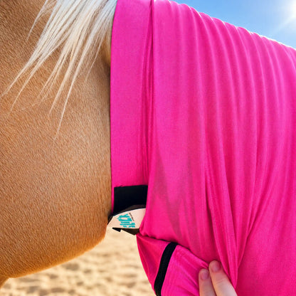 Close-up of a horse wearing a bright metallic hot pink faceless sleazy hood neck picture with a blurred background
