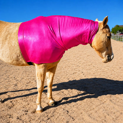 Horse wearing a bright metallic hot pink faceless hood on a sandy ground with a clear blue sky.