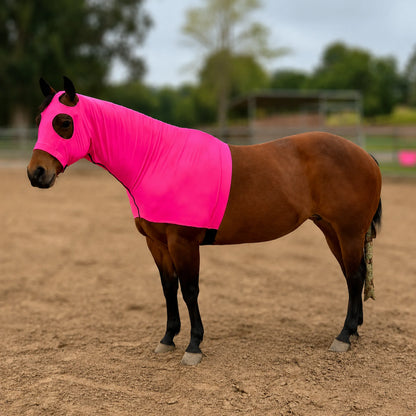 A brown horse standing in a sandy arena wearing a bright metallic hot pink sleazy hood that covers its head and neck.