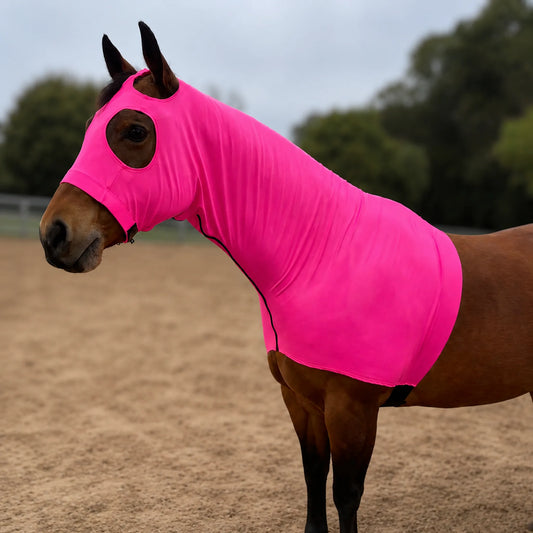 A brown horse standing in a sandy outdoor arena wearing a bright metallic hot pink sleazy hood.