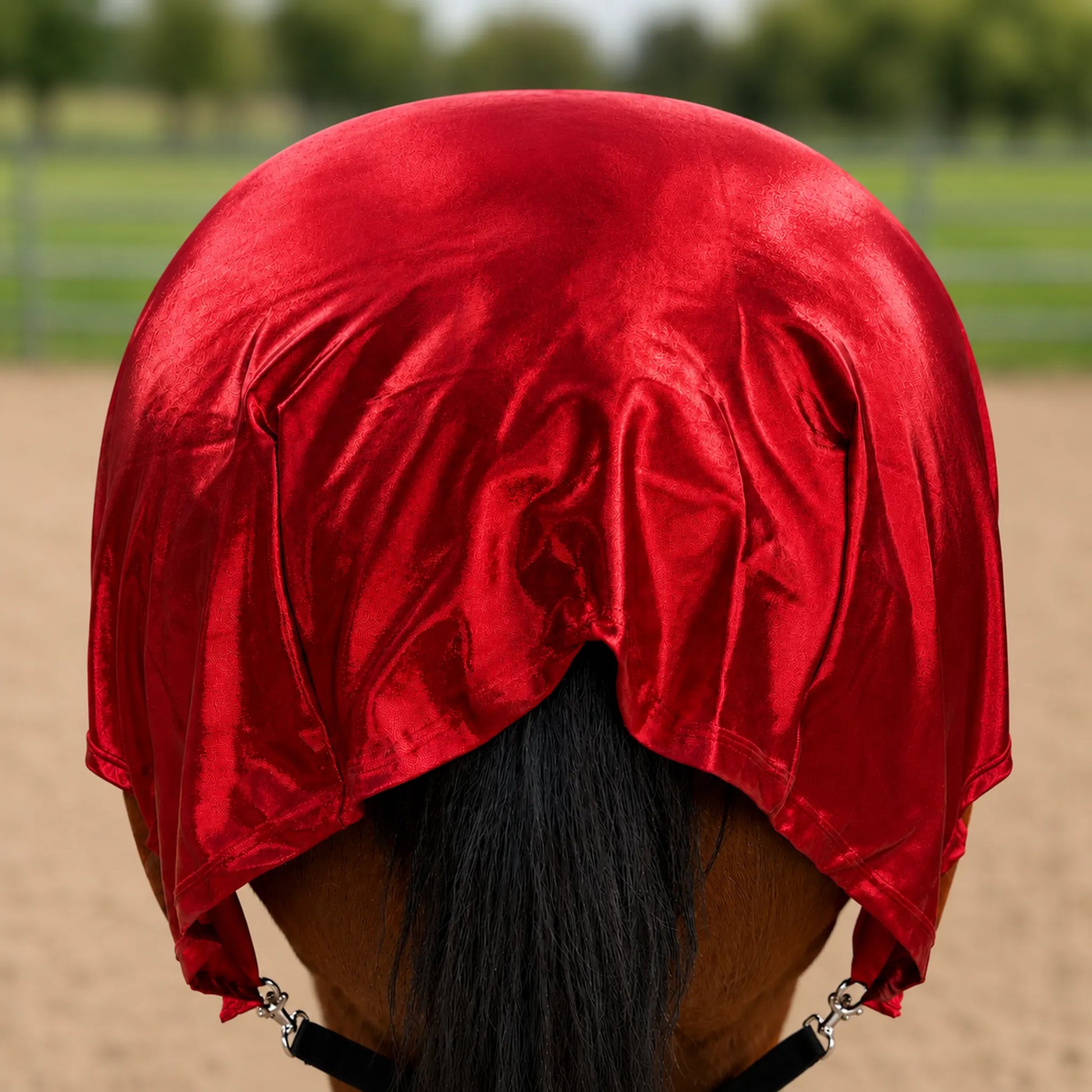 skiny metallic red faceless full body sleazy horse back view