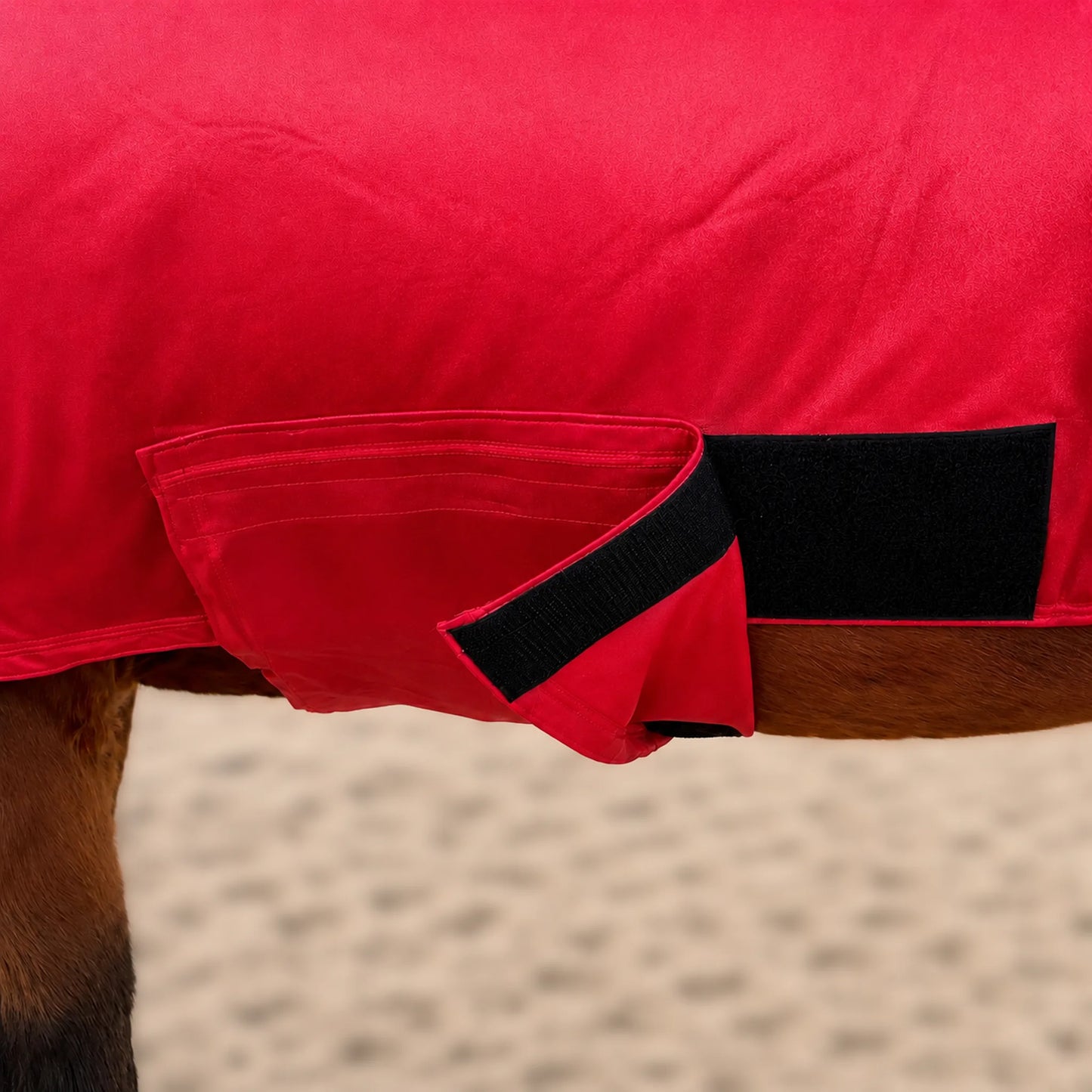 shiny metallic red faceless full body horse showing velcro belly band