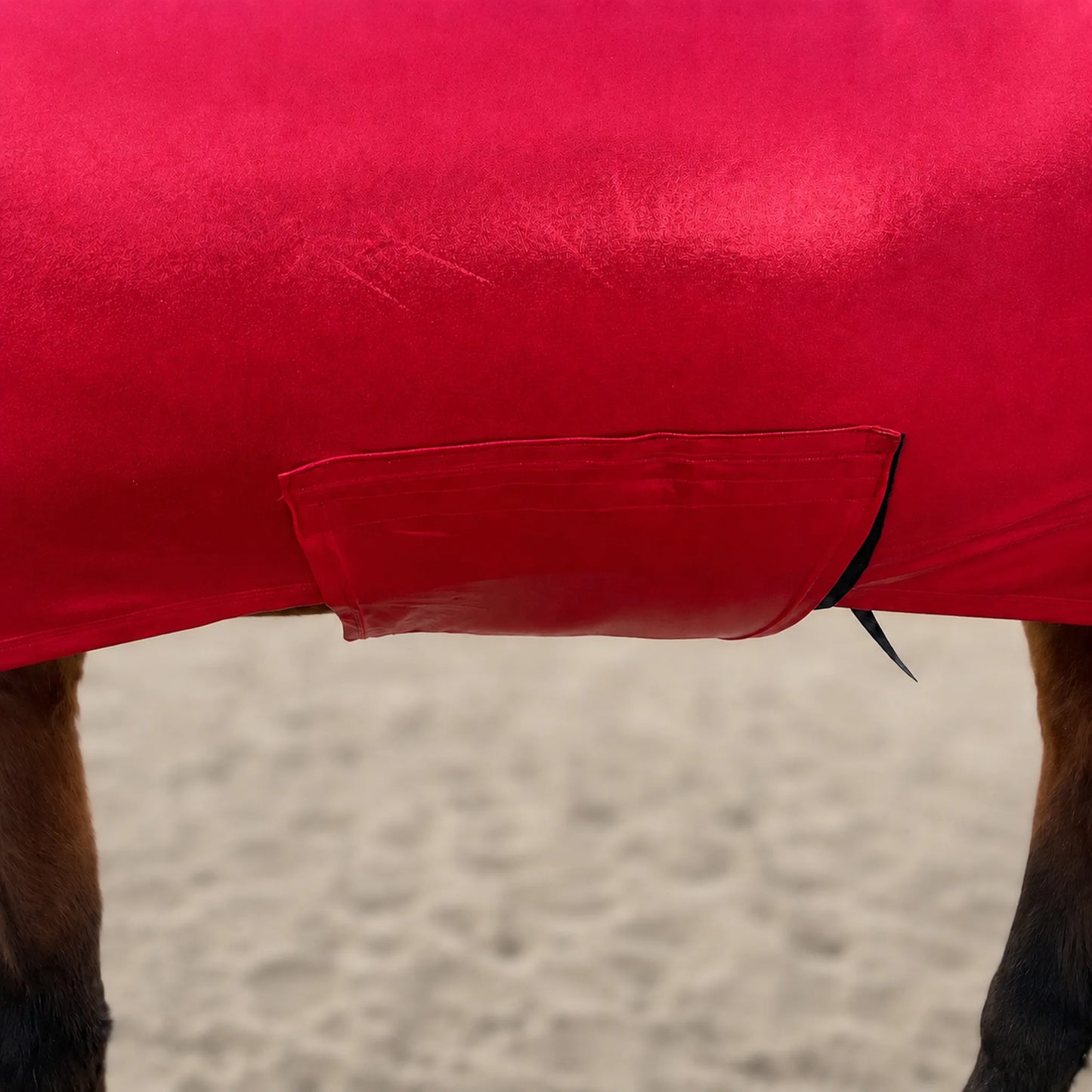 shiny metallic red faceless full body horse belly view 