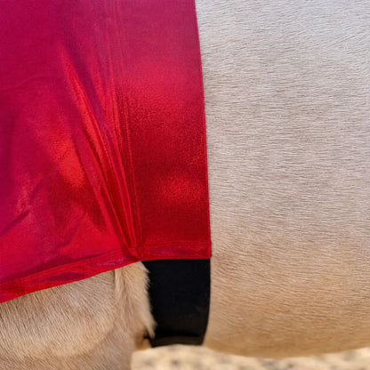 Close-up of a red faceless sleazy hood belly on a horse