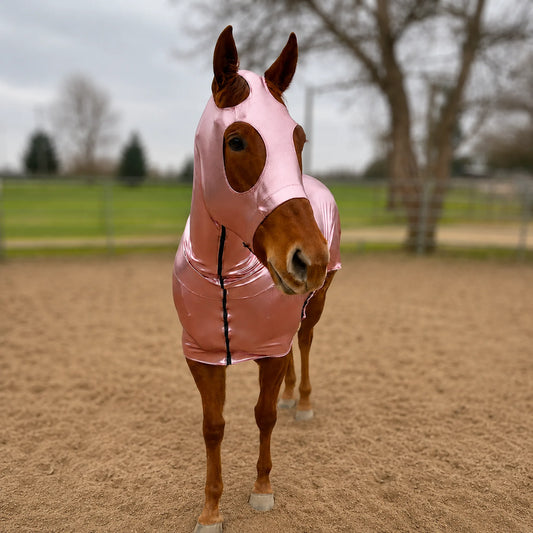 A brown horse standing in a sandy outdoor arena wearing a shiny metallic rose full body sleazy.