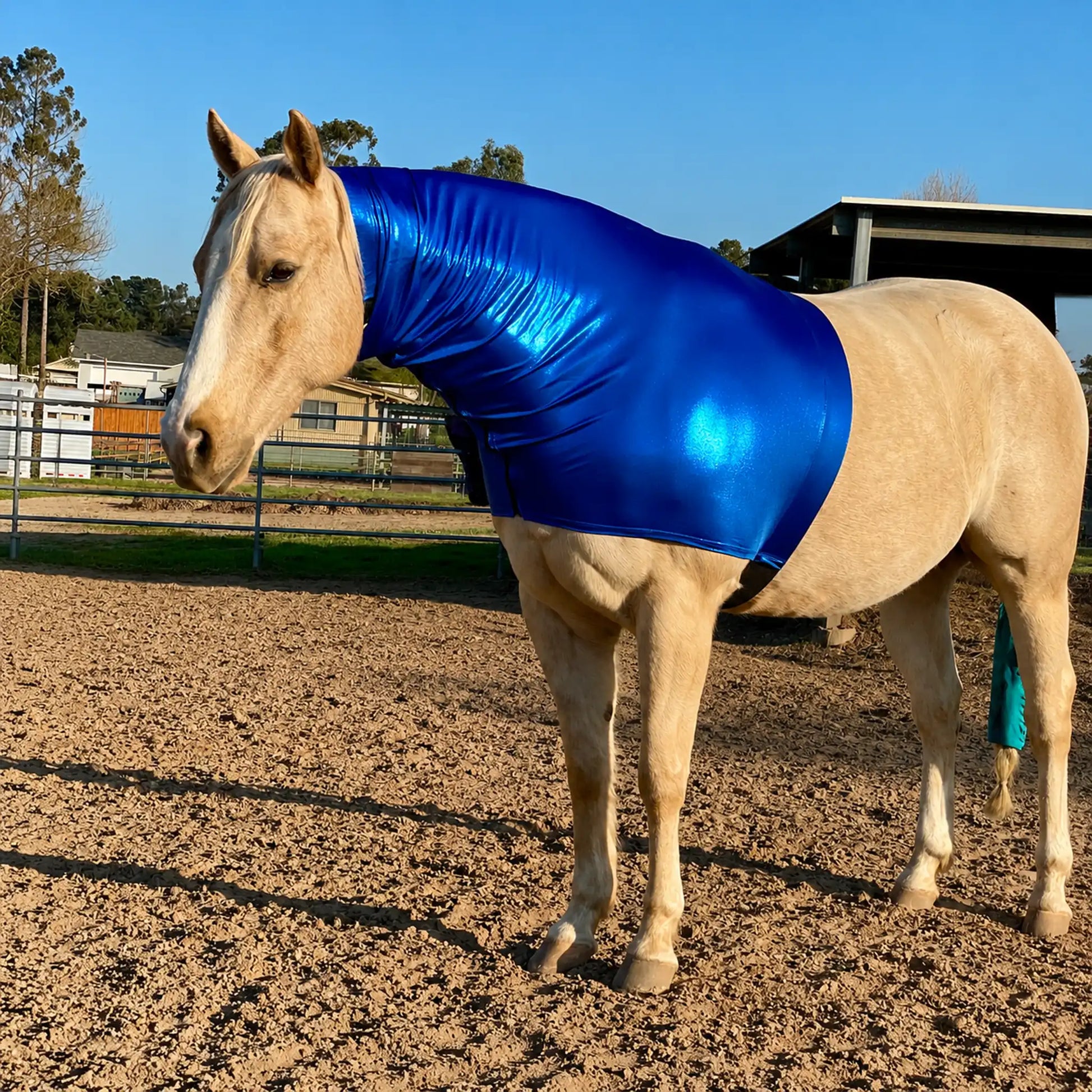 Horse wearing a metallic blue faceless sleazy hood in an outdoor setting