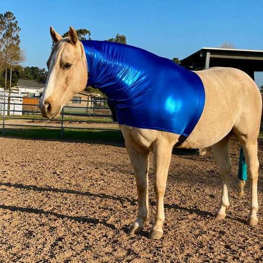 Horse wearing a metallic blue faceless sleazy hood in an outdoor setting