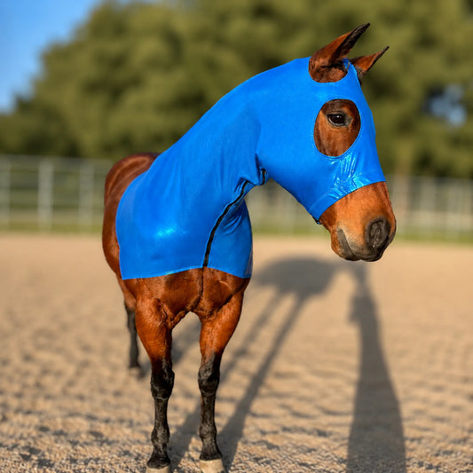 A brown horse standing in a sandy outdoor arena wearing a shiny bright metallic blue horse hood with ear openings and a cutout for the eye.