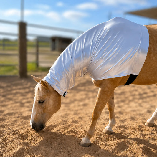 Horse wearing a metallic silver faceless sleazy hood on a dirt ground with a fence and sky in the background