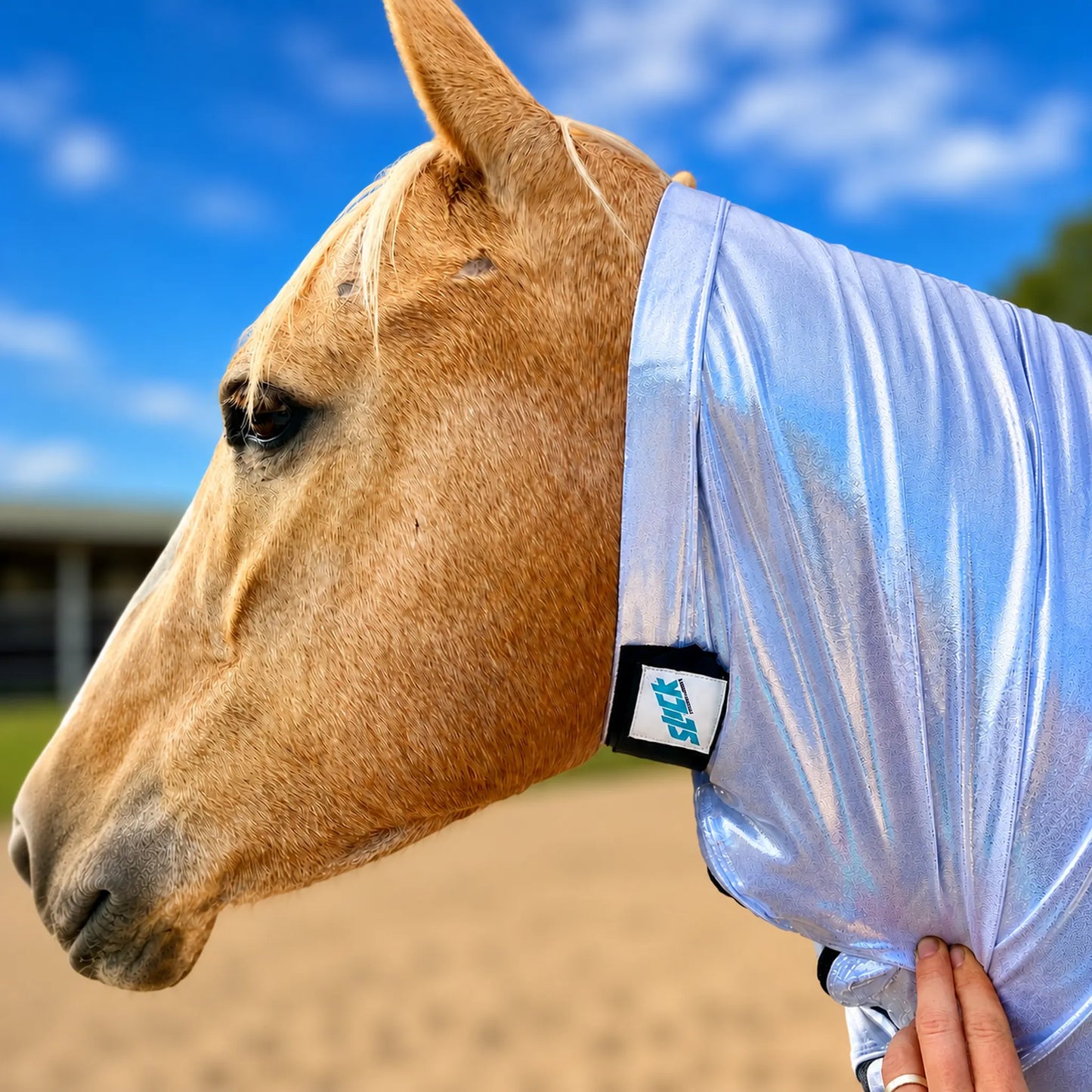 Horse wearing a metallic silver faceless sleazy hood with a blurred background