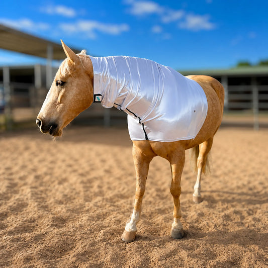 Horse wearing a metallic silver faceless sleazy hood in an outdoor stable area