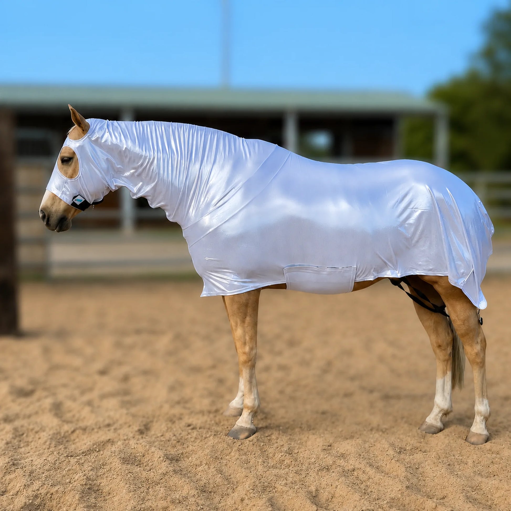 A light brown horse standing in a sandy arena wearing a shiny metallic silver full body sleazy under a blue sky.