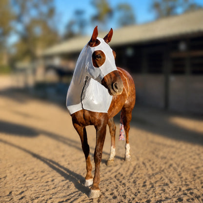 A brown horse standing in a sandy outdoor stable area wearing a metallic silver sleazy hood, with a blurred stable and trees in the background.