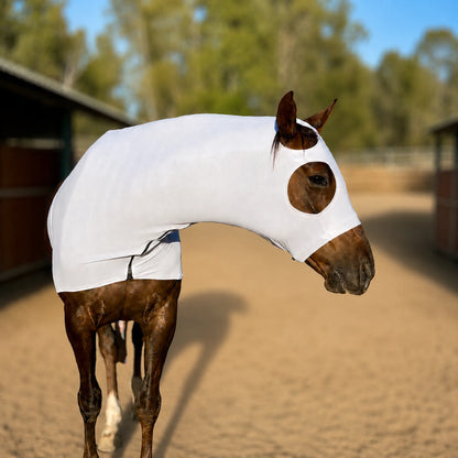 A brown horse wearing a metallic silver hood stands in an outdoor horse stable arena with sand footing, stables, and trees in the background.