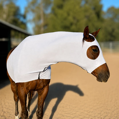 A brown horse standing in a sandy outdoor arena wearing a fitted shiny metallic silver hood, with cutouts for the head and legs.